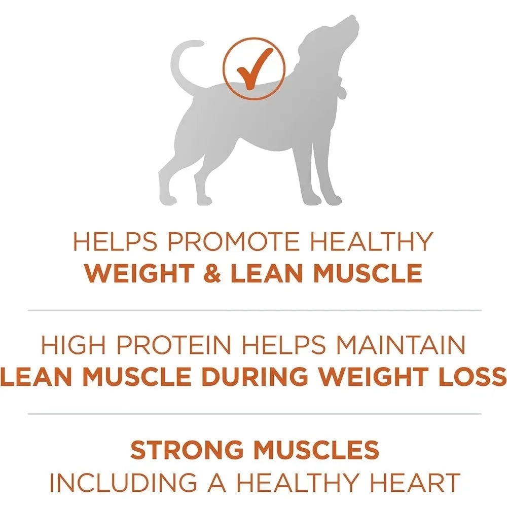 🐾 High-Protein Dry Dog Food – Plus Formula for Healthy Weight | 40 lb Bag 🐶💪 - PawtasticWorldCenter