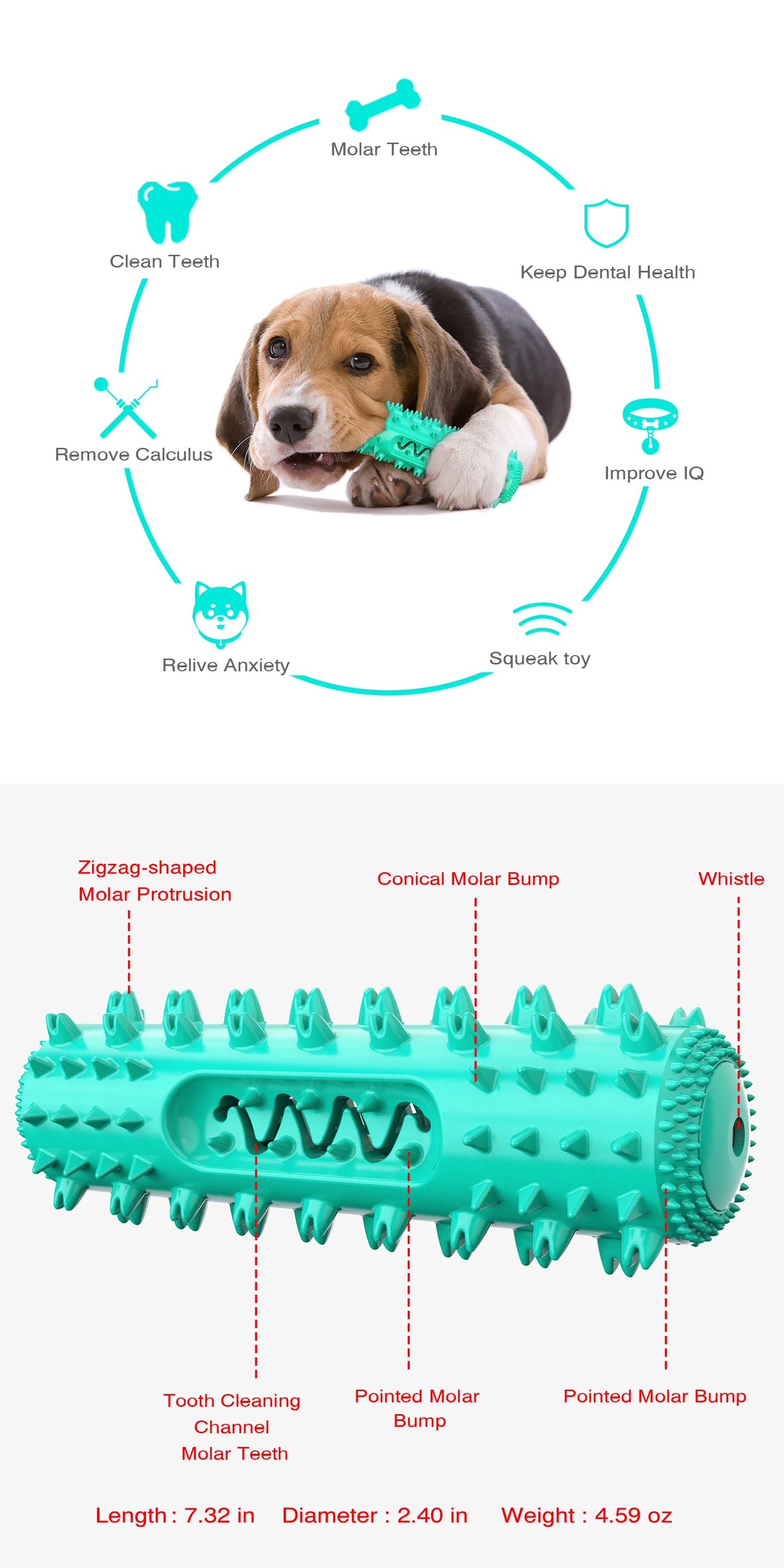 🐾 Squeaky Floating Dog Chew Toy | Boost Playtime & Dental Health! 🦴 - PawtasticWorldCenter