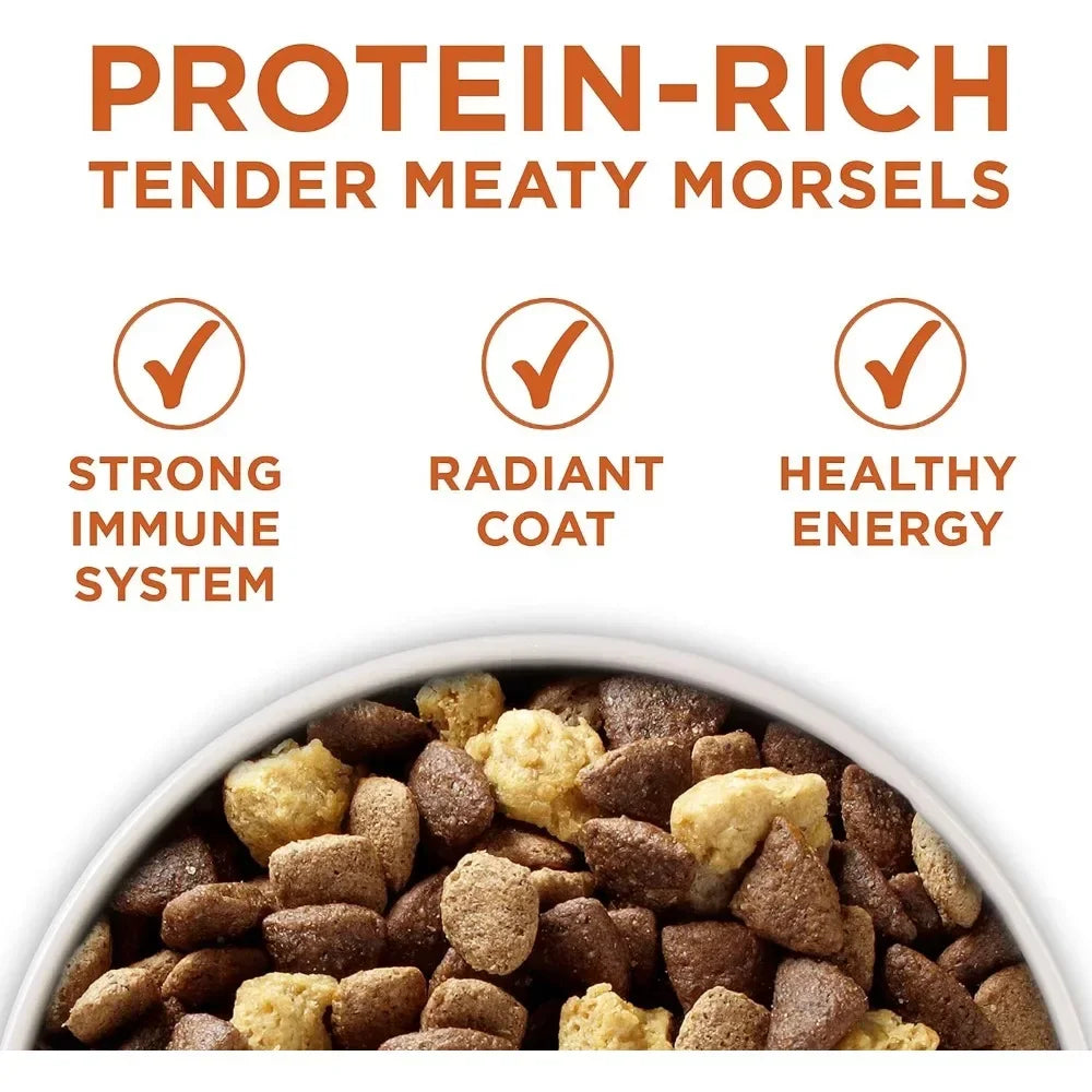 🐾 High-Protein Dry Dog Food – Plus Formula for Healthy Weight | 40 lb Bag 🐶💪 - PawtasticWorldCenter