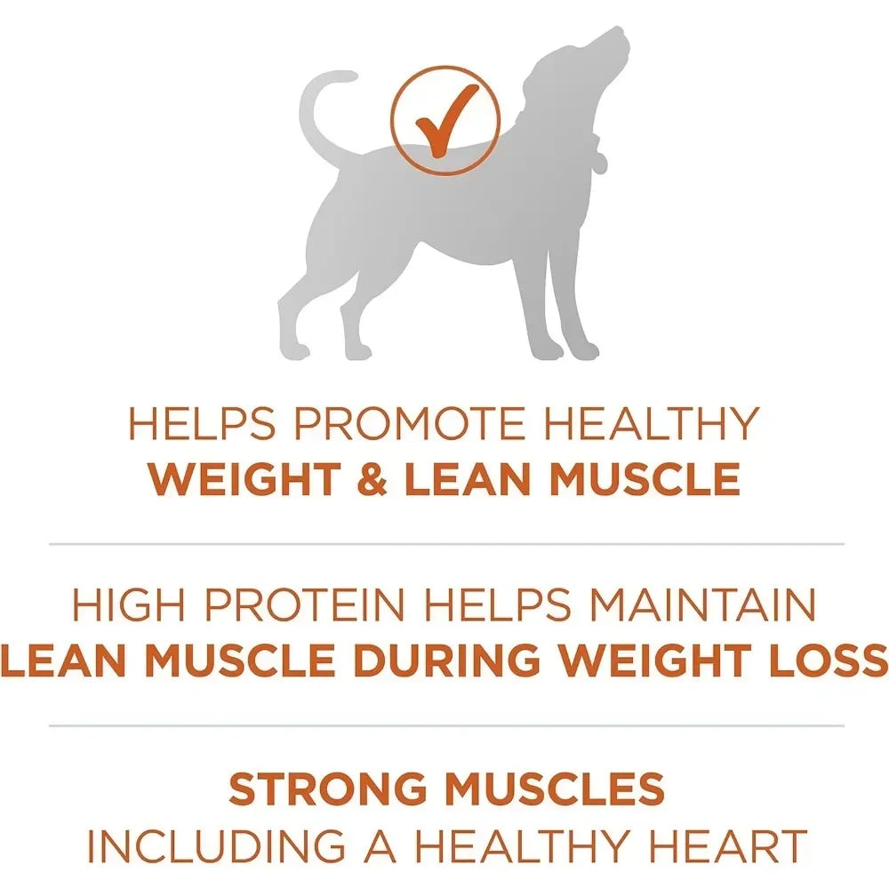 🐾 High-Protein Dry Dog Food – Plus Formula for Healthy Weight | 40 lb Bag 🐶💪 - PawtasticWorldCenter