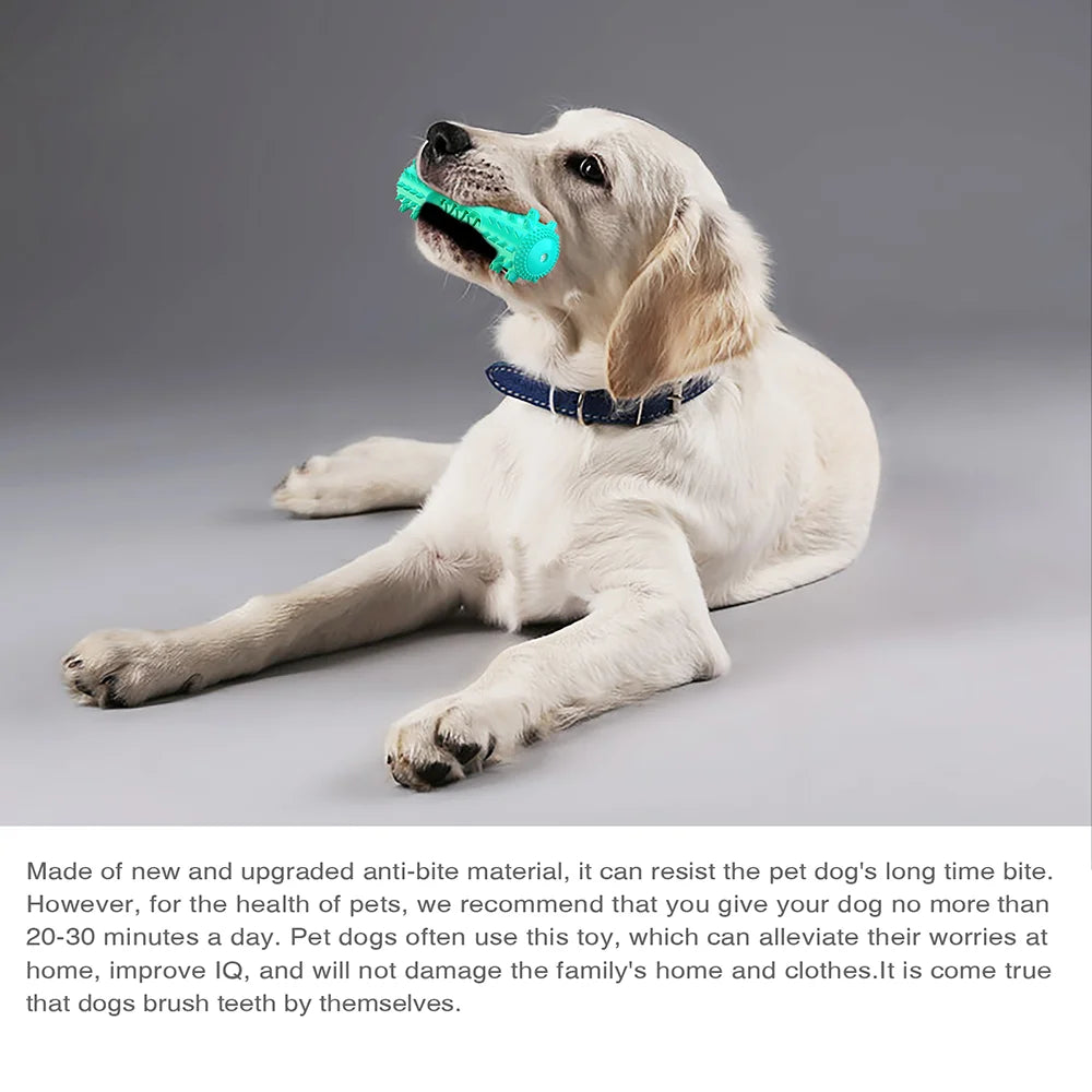 🐾 Squeaky Floating Dog Chew Toy | Boost Playtime & Dental Health! 🦴 - PawtasticWorldCenter