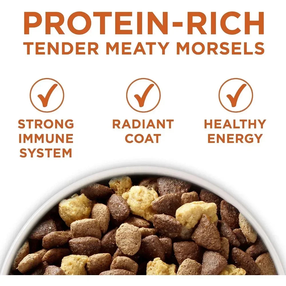 🐾 High-Protein Dry Dog Food – Plus Formula for Healthy Weight | 40 lb Bag 🐶💪 - PawtasticWorldCenter
