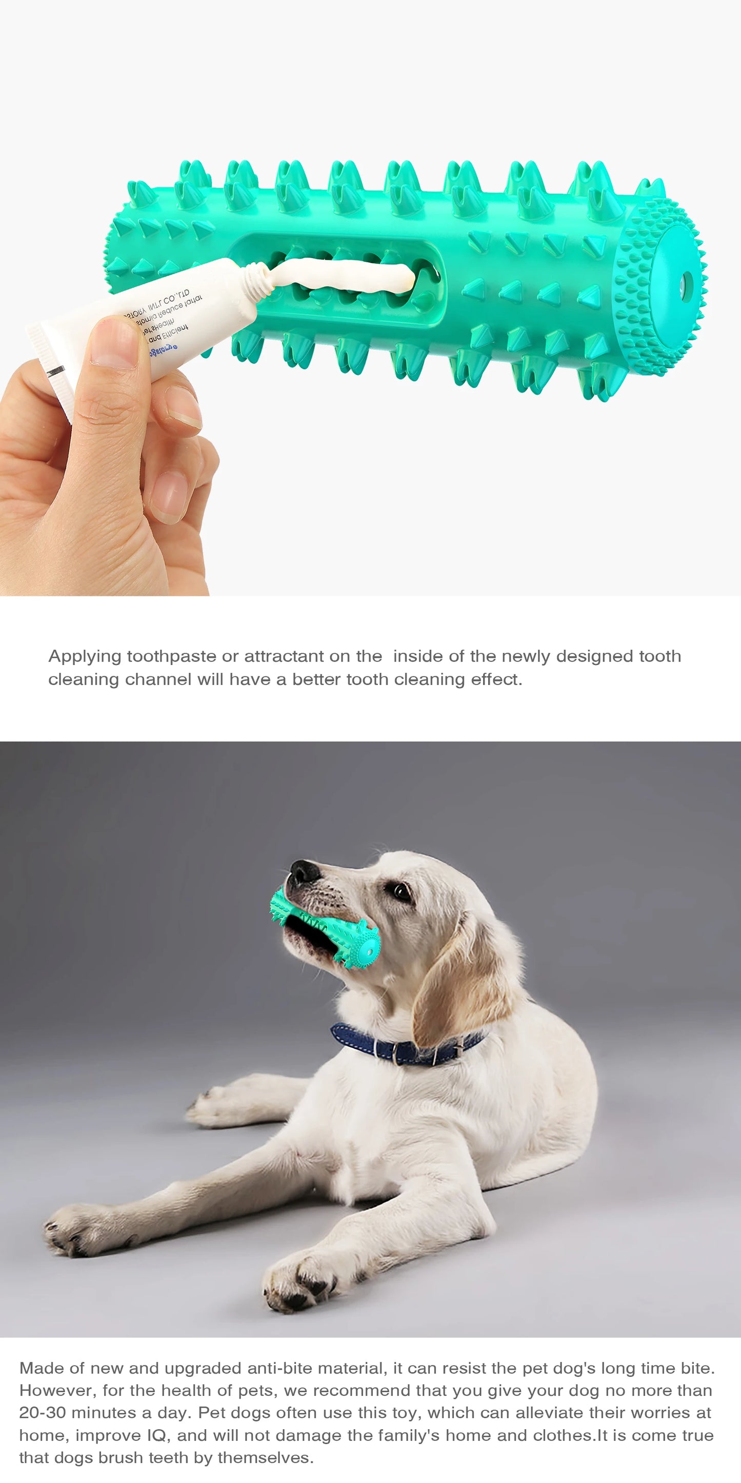 🐾 Squeaky Floating Dog Chew Toy | Boost Playtime & Dental Health! 🦴 - PawtasticWorldCenter