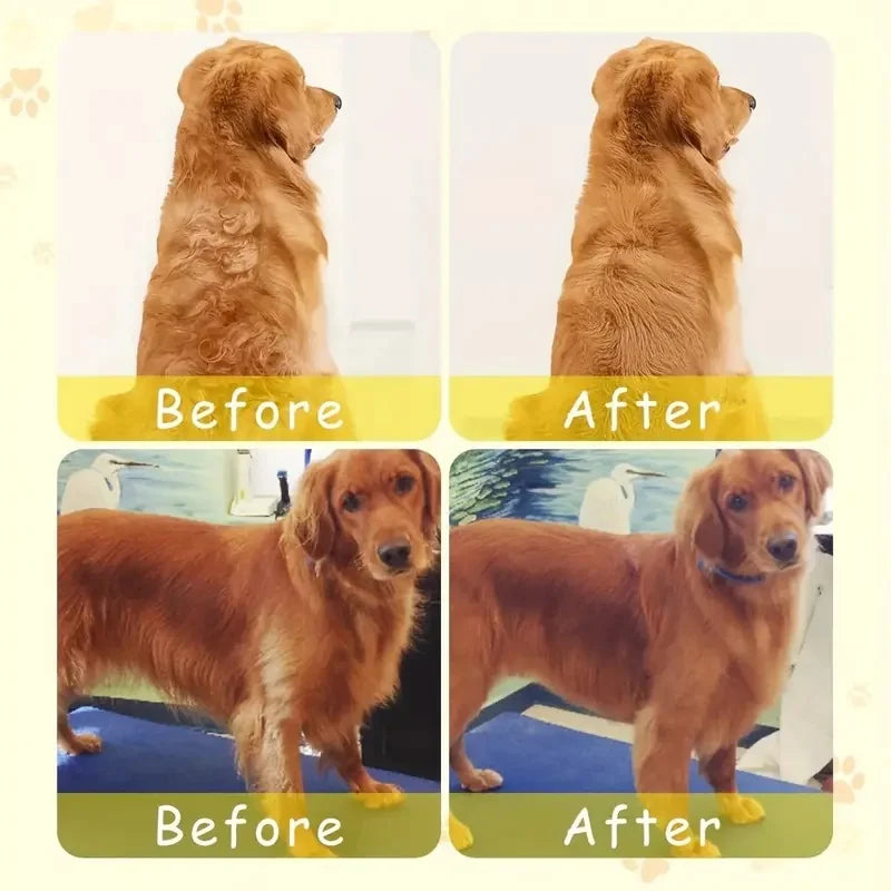 🔥✨ 3-in-1 Steamy Pet Grooming Brush – Electric Spray, Detangler & Massager for Dogs & Cats | Removes Loose Hair & Knots - PawtasticWorldCenter