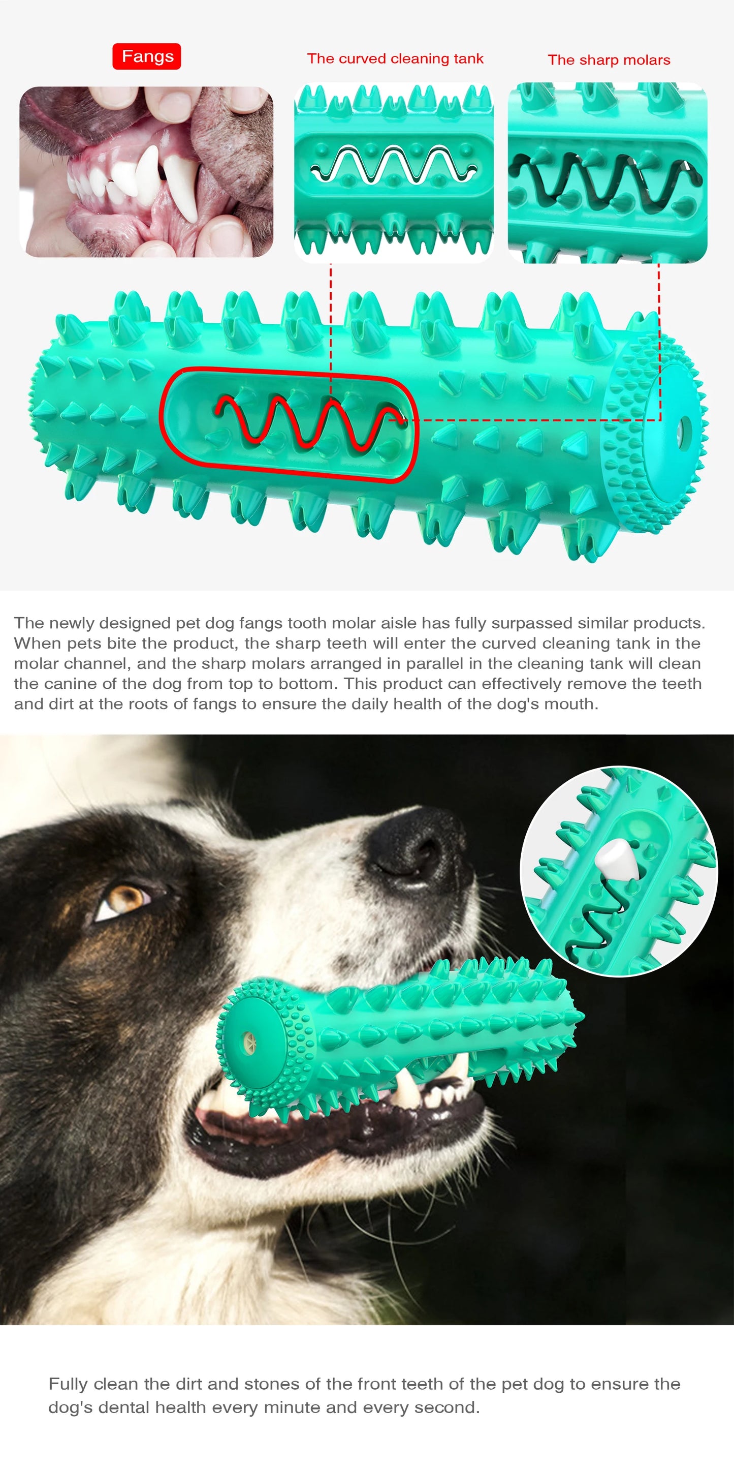🐾 Squeaky Floating Dog Chew Toy | Boost Playtime & Dental Health! 🦴 - PawtasticWorldCenter