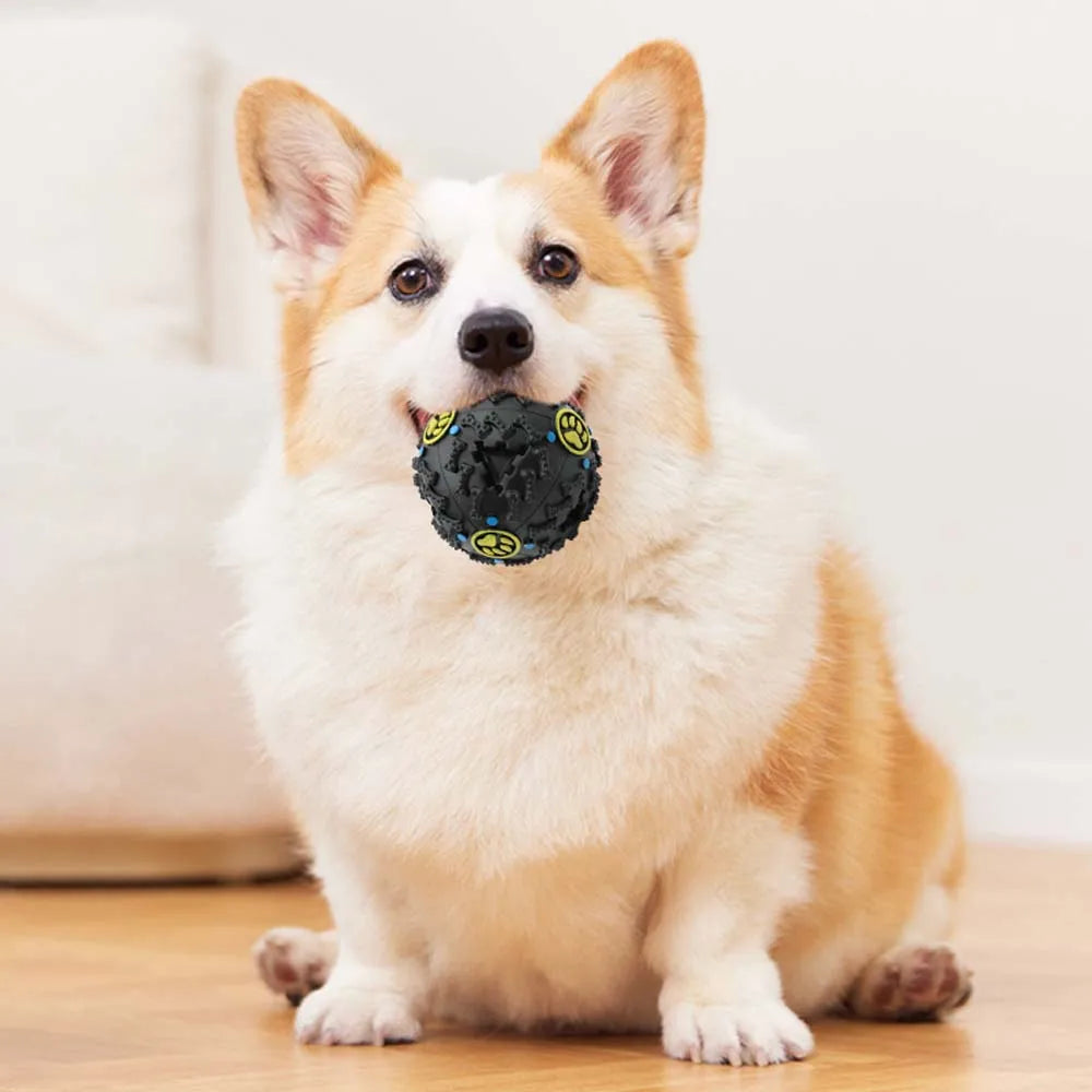 🐶🖤 Interactive Black Molar Chew Toy Ball – Treat Dispensing & Squeaky Fun for All Dog Sizes! 🎾🦴 - PawtasticWorldCenter