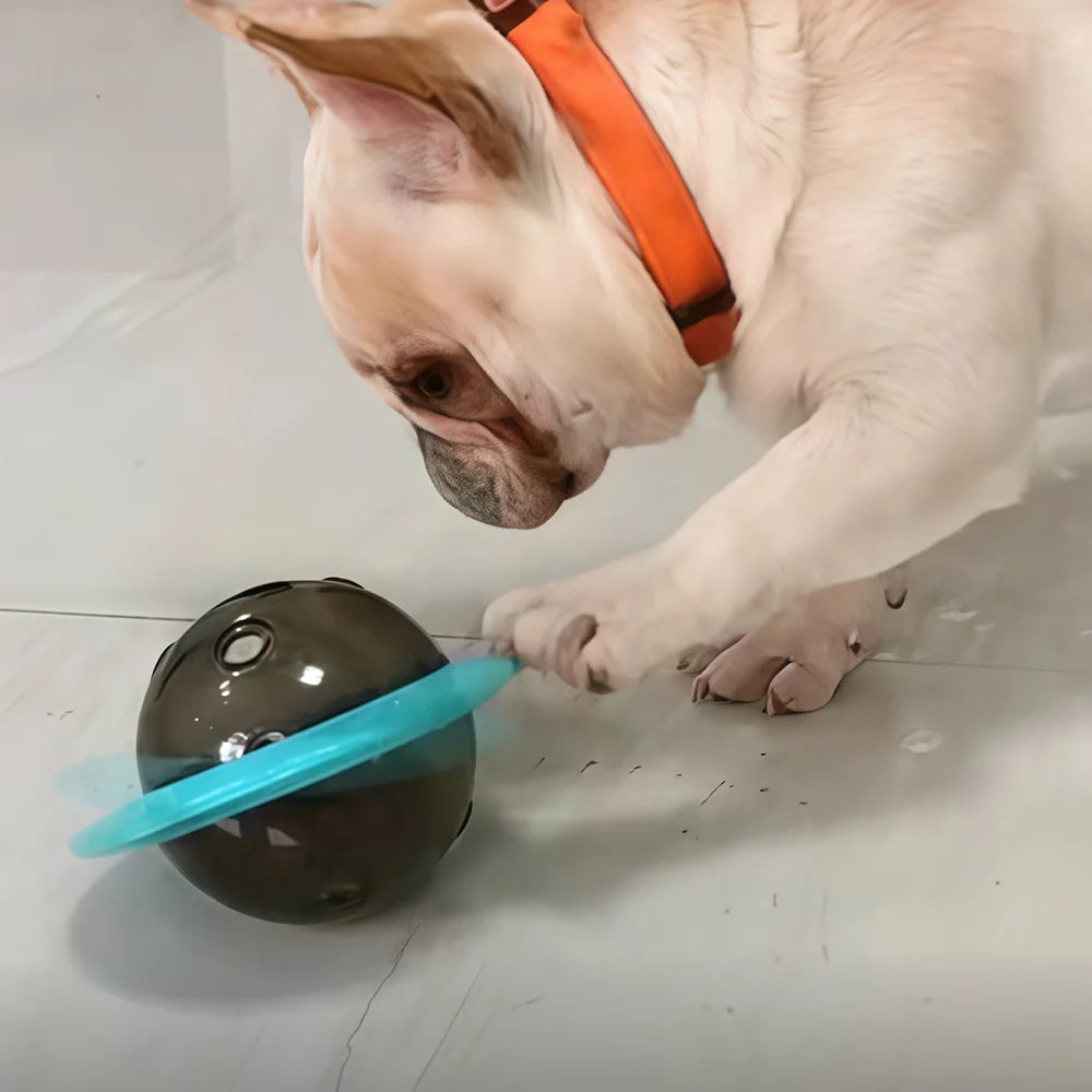 🍖 Treat Dispenser Dog Toy – Smart Play, Slow Feed, Happy Pup! 🐶 - PawtasticWorldCenter