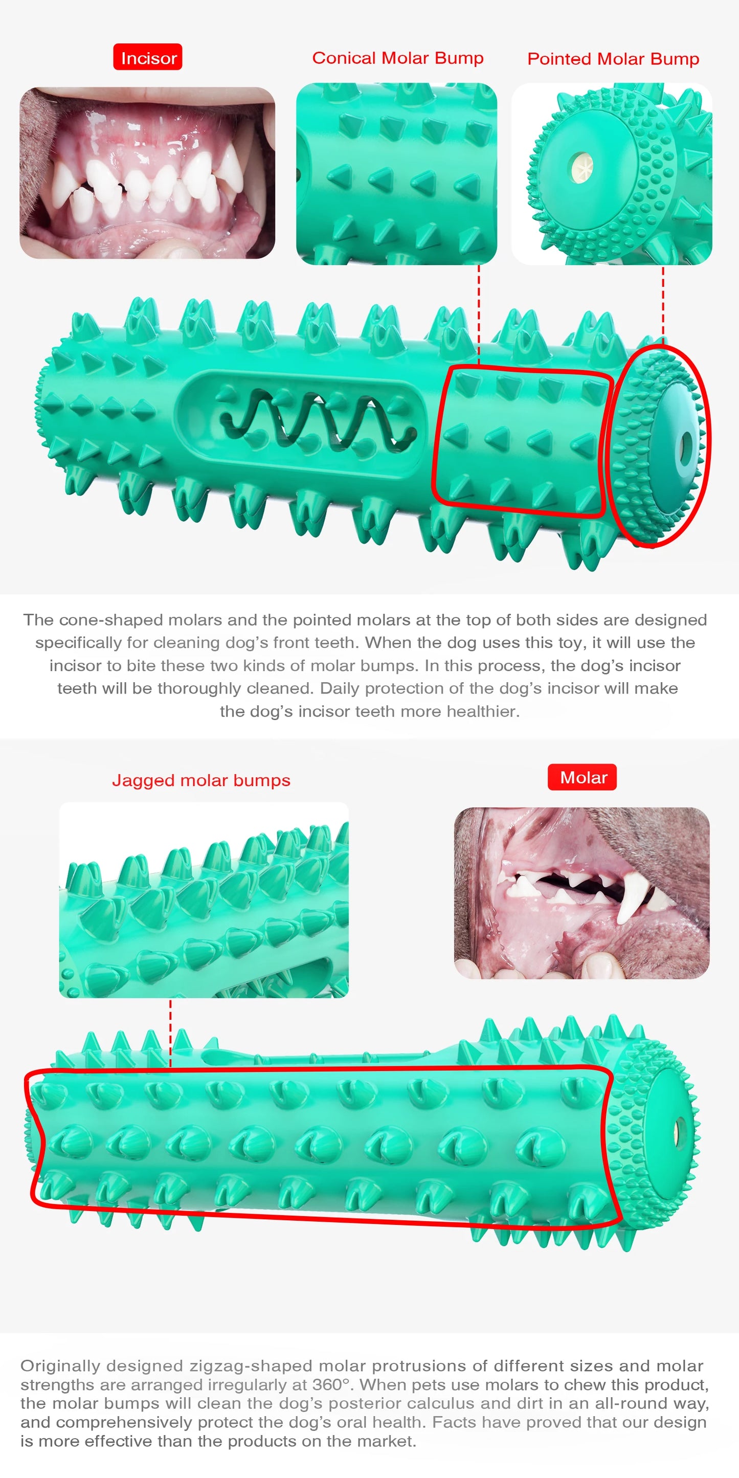 🐾 Squeaky Floating Dog Chew Toy | Boost Playtime & Dental Health! 🦴 - PawtasticWorldCenter