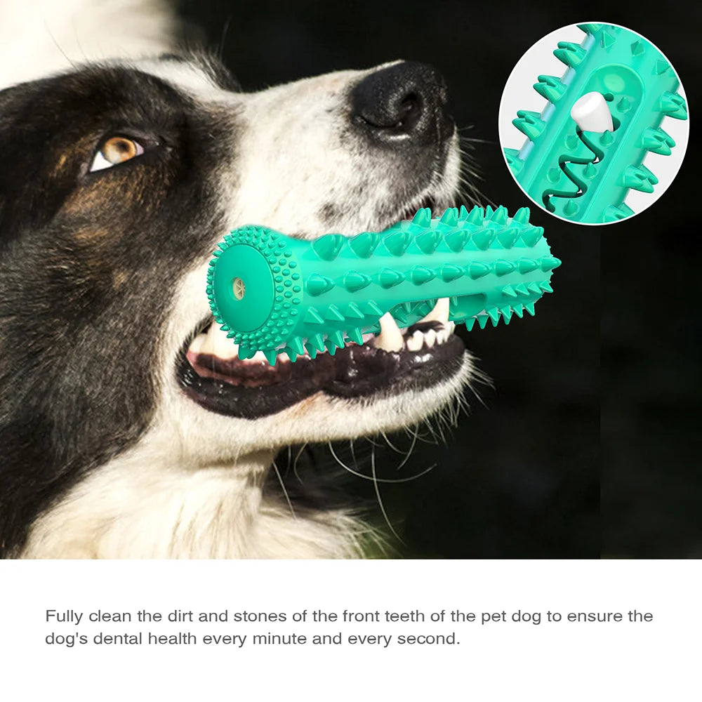 🐾 Squeaky Floating Dog Chew Toy | Boost Playtime & Dental Health! 🦴 - PawtasticWorldCenter