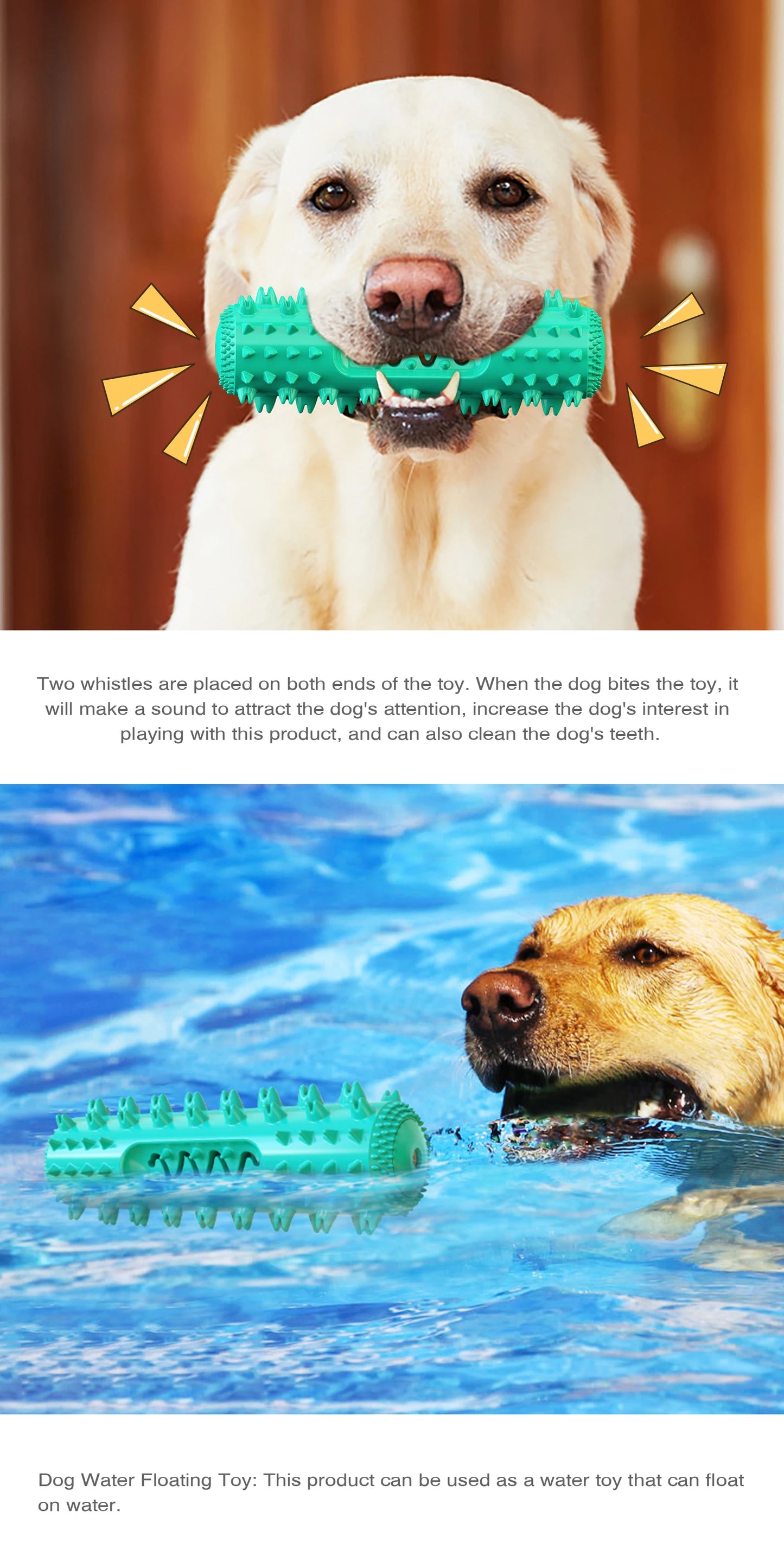 🐾 Squeaky Floating Dog Chew Toy | Boost Playtime & Dental Health! 🦴 - PawtasticWorldCenter