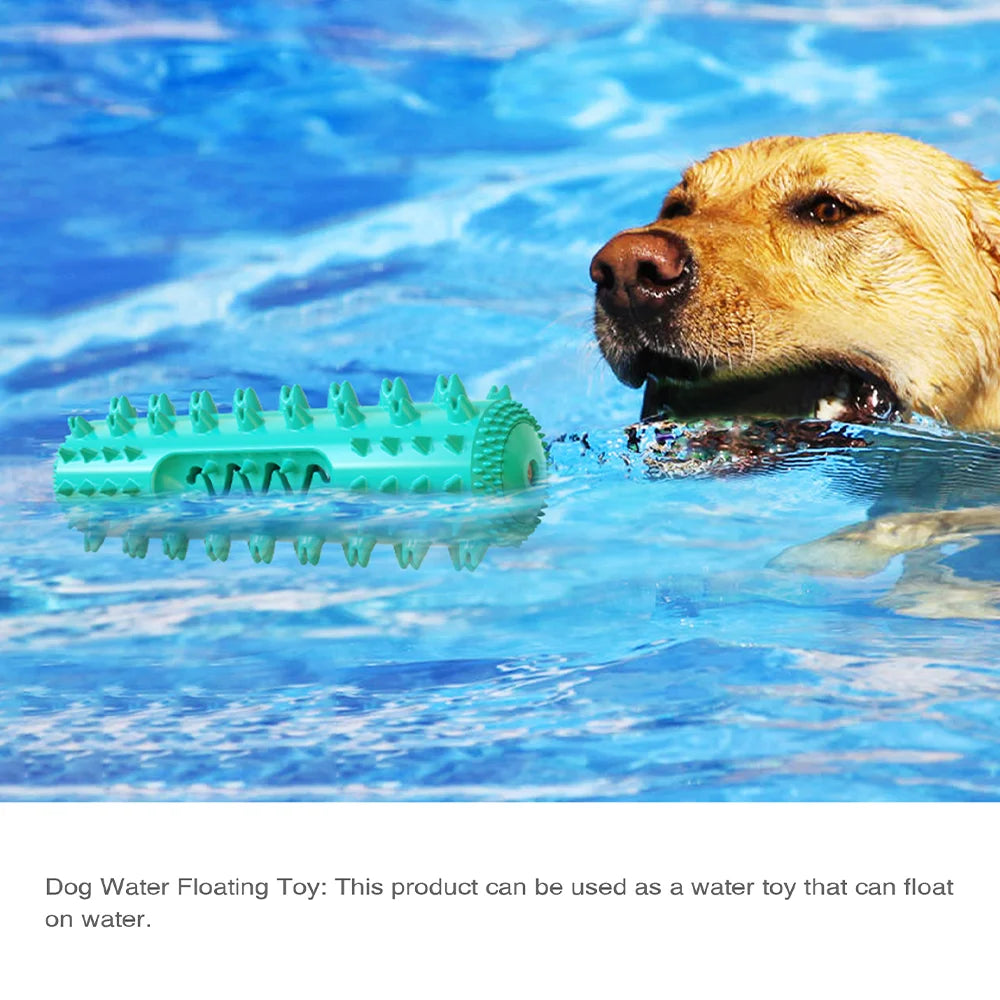 🐾 Squeaky Floating Dog Chew Toy | Boost Playtime & Dental Health! 🦴 - PawtasticWorldCenter