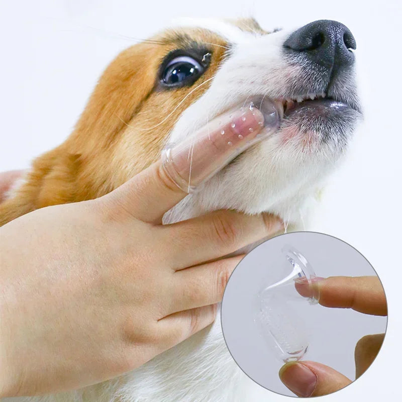 🦷 Soft Silicone Finger Toothbrush for Dogs & Cats – Gentle Dental Care Made Easy! 🐾 - PawtasticWorldCenter
