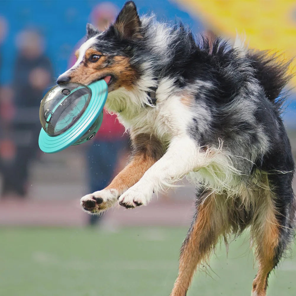 🍖 Treat Dispenser Dog Toy – Smart Play, Slow Feed, Happy Pup! 🐶 - PawtasticWorldCenter