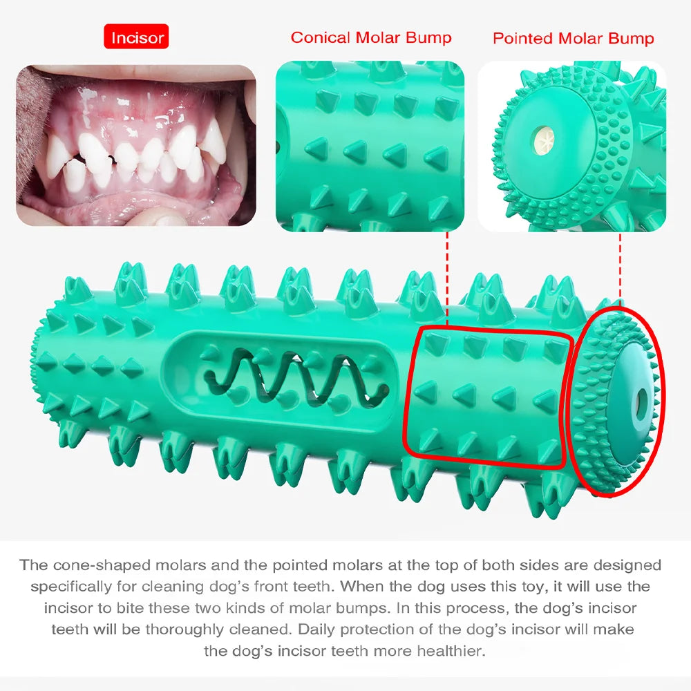 🐾 Squeaky Floating Dog Chew Toy | Boost Playtime & Dental Health! 🦴 - PawtasticWorldCenter