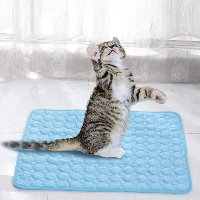❄️ Cooling Pet Bed Mat – Summer Ice Pad for Cats & Small Dogs - PawtasticWorldCenter
