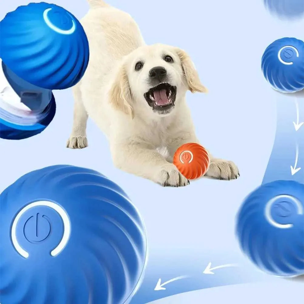 Playtime & Fun