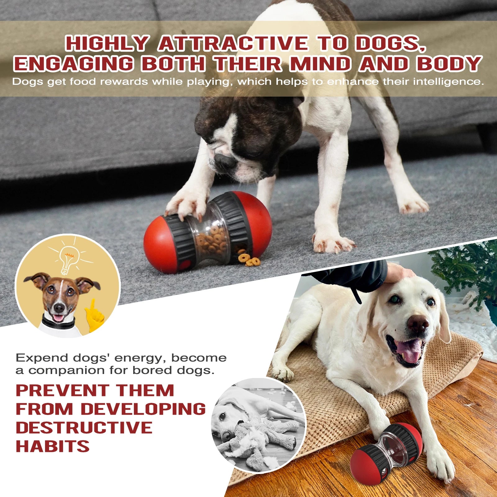 🧠🐶 Interactive Pet Puzzle Toy – Slow Feeder for Dogs & Cats | IQ Booster & Training Game for Small to Large Breeds (Chihuahua, Beagle & More) - PawtasticWorldCenter