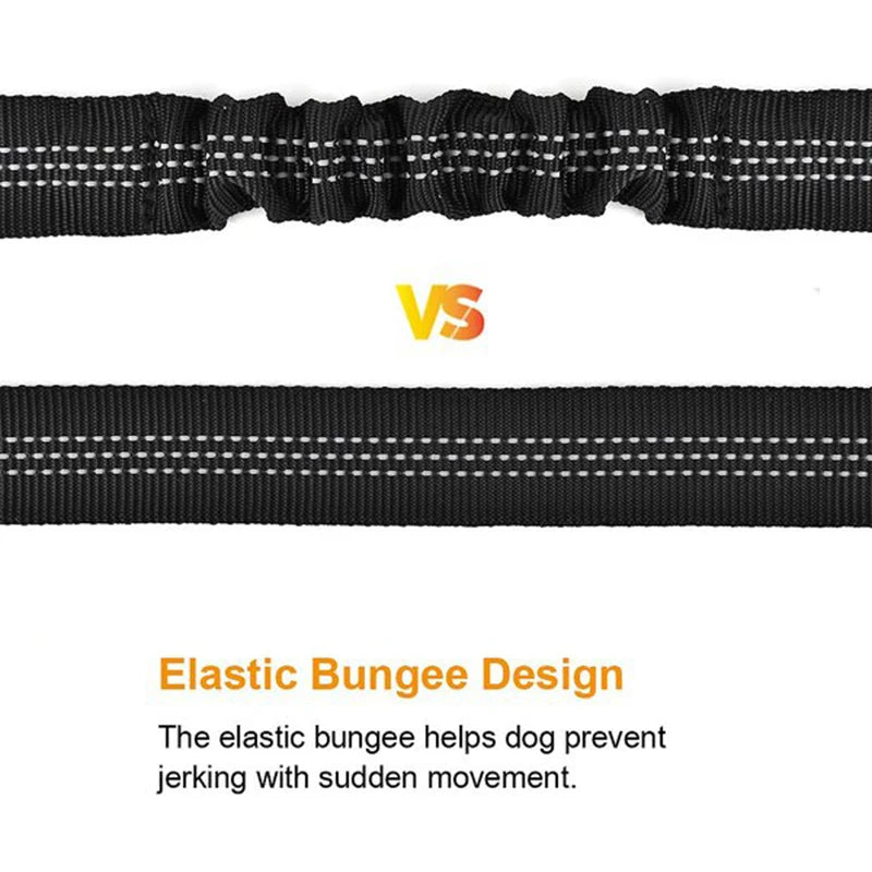 :  🚗✨ Adjustable Reflective Dog Car Seat Belt – Safe Travel Lead for Small to Large Dogs | Durable Nylon, Elastic, French Bulldog Friendly 🐶💺