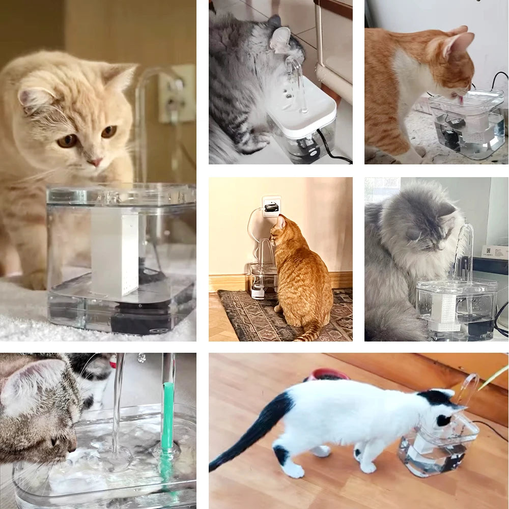 💧 Automatic Cat Water Fountain – Transparent USB Electric Dispenser with Quiet Recirculating Filter for Fresh & Clean Drinking - PawtasticWorldCenter