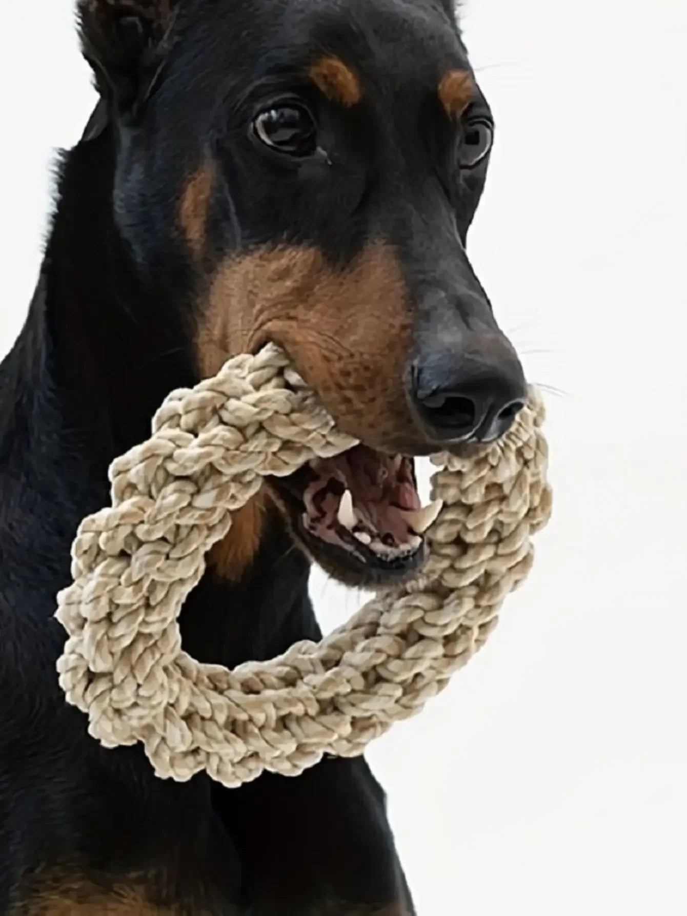 🐶🦴 Heavy-Duty Rope Chew Toy – Tough & Fun for Medium & Large Dogs - PawtasticWorldCenter
