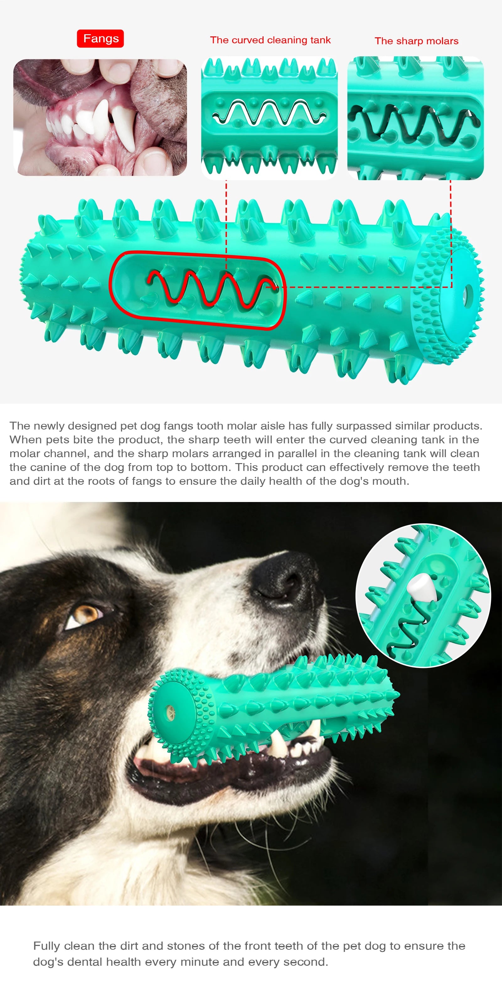 🐾 Squeaky Floating Dog Chew Toy | Boost Playtime & Dental Health! 🦴 - PawtasticWorldCenter