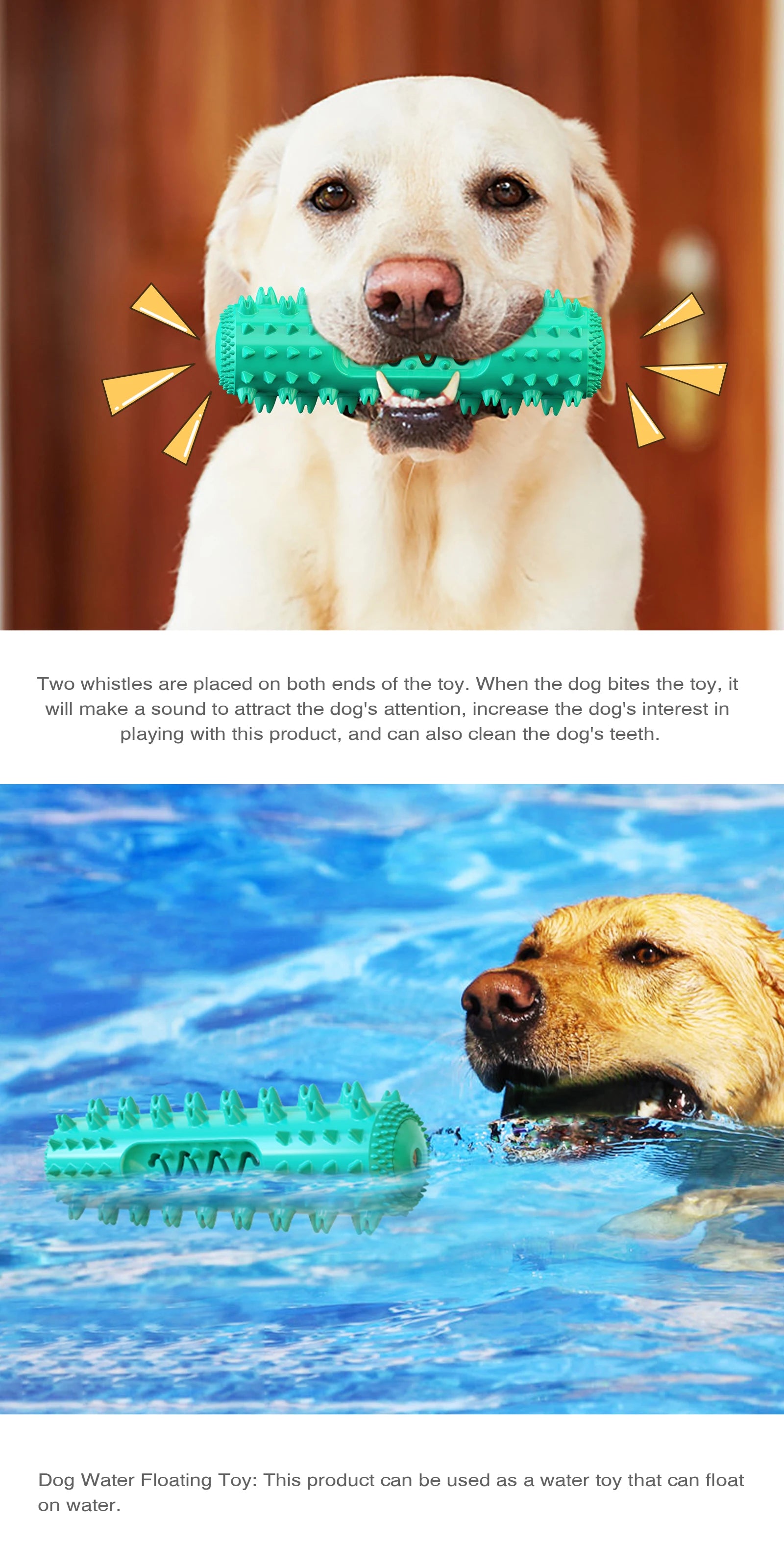 🐾 Squeaky Floating Dog Chew Toy | Boost Playtime & Dental Health! 🦴 - PawtasticWorldCenter