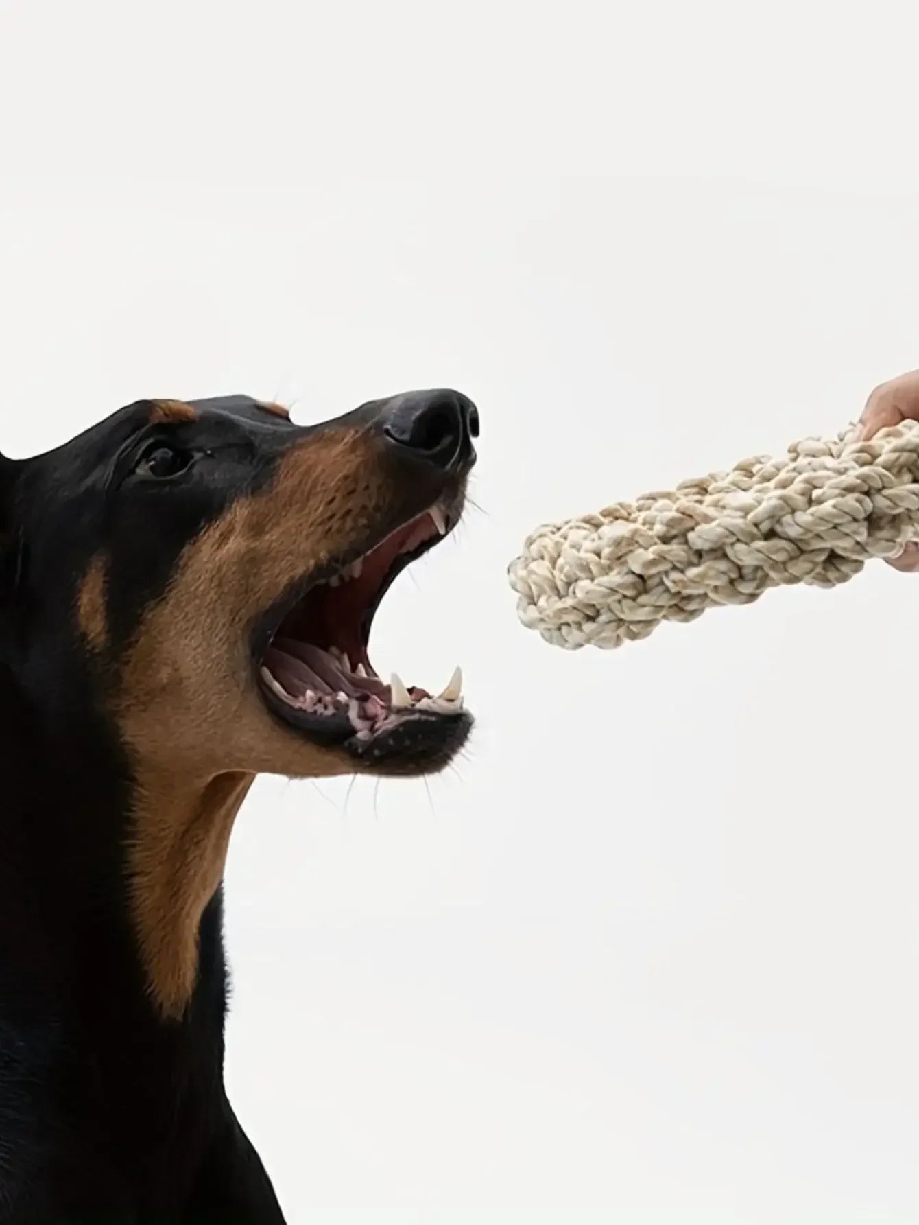 🐶🦴 Heavy-Duty Rope Chew Toy – Tough & Fun for Medium & Large Dogs - PawtasticWorldCenter