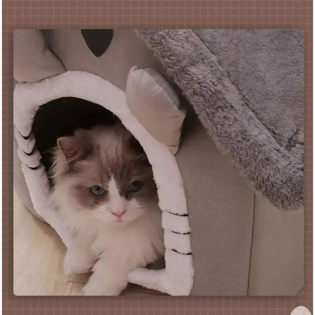 Four-Season Pet House – Soft, Washable Bed for Cats & Small Dogs